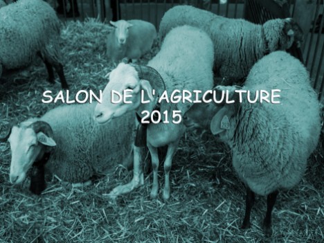 Salon de l'agriculture 2015